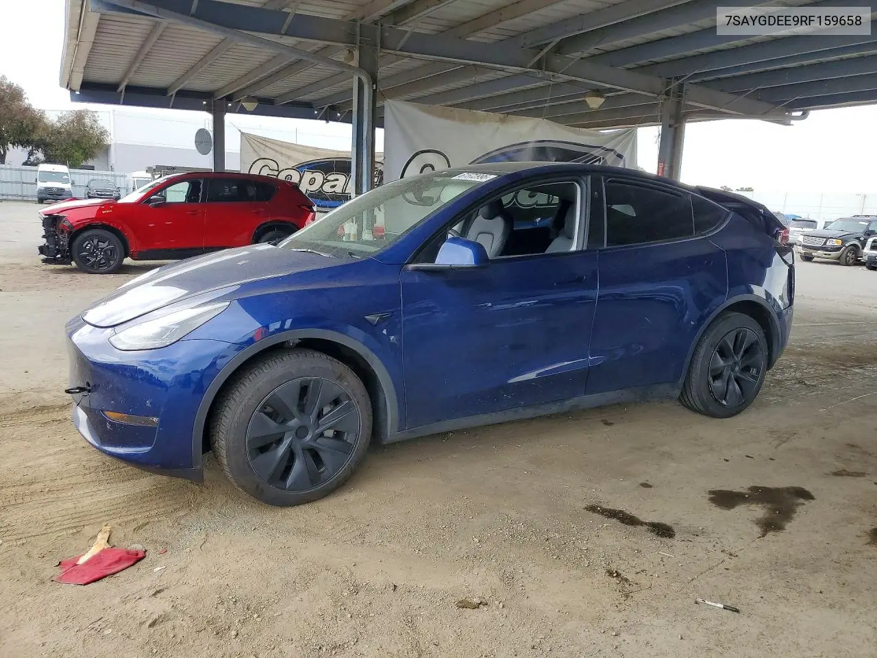 2024 Tesla Model Y VIN: 7SAYGDEE9RF159658 Lot: 61572996