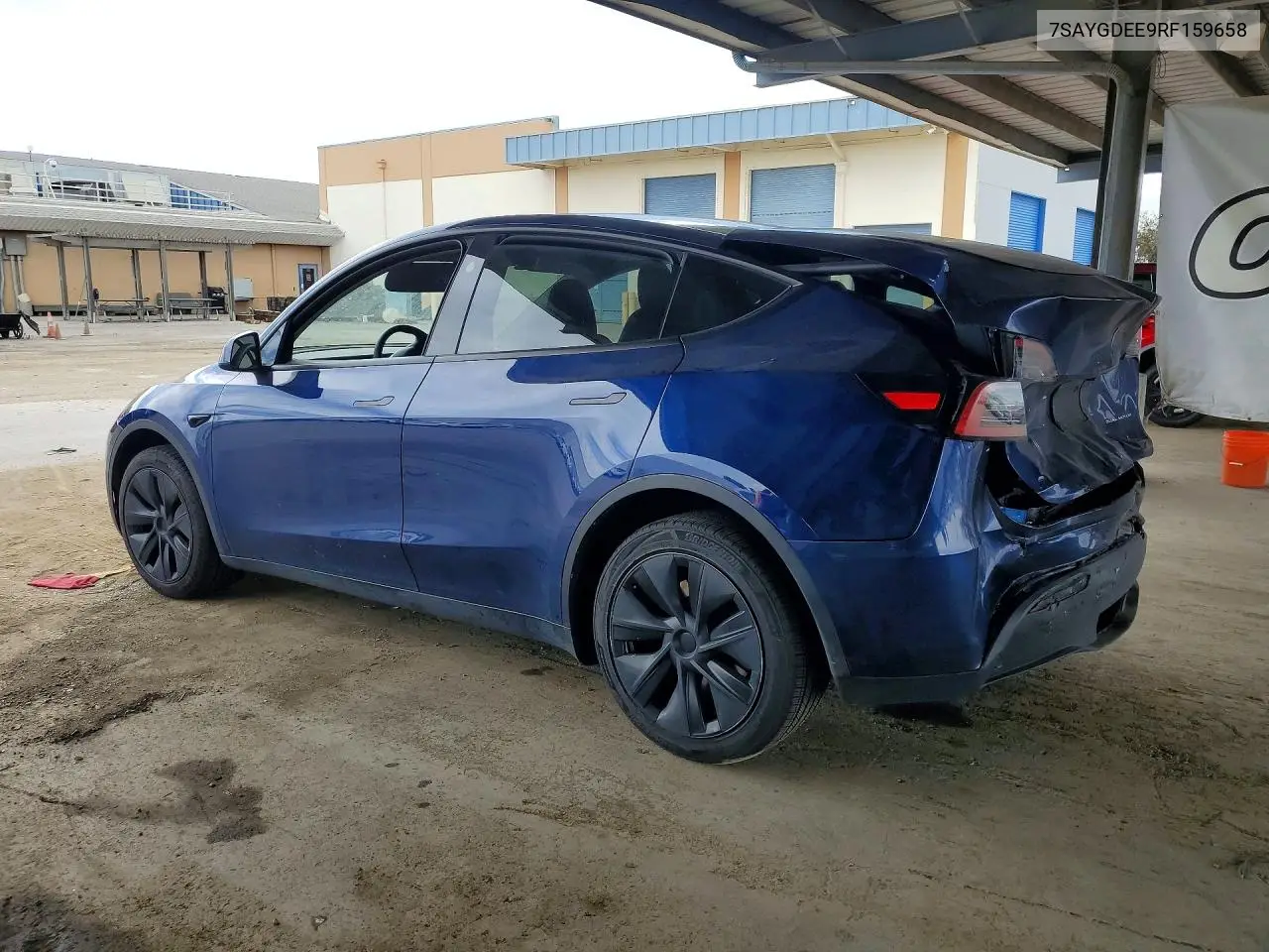 2024 Tesla Model Y VIN: 7SAYGDEE9RF159658 Lot: 61572996