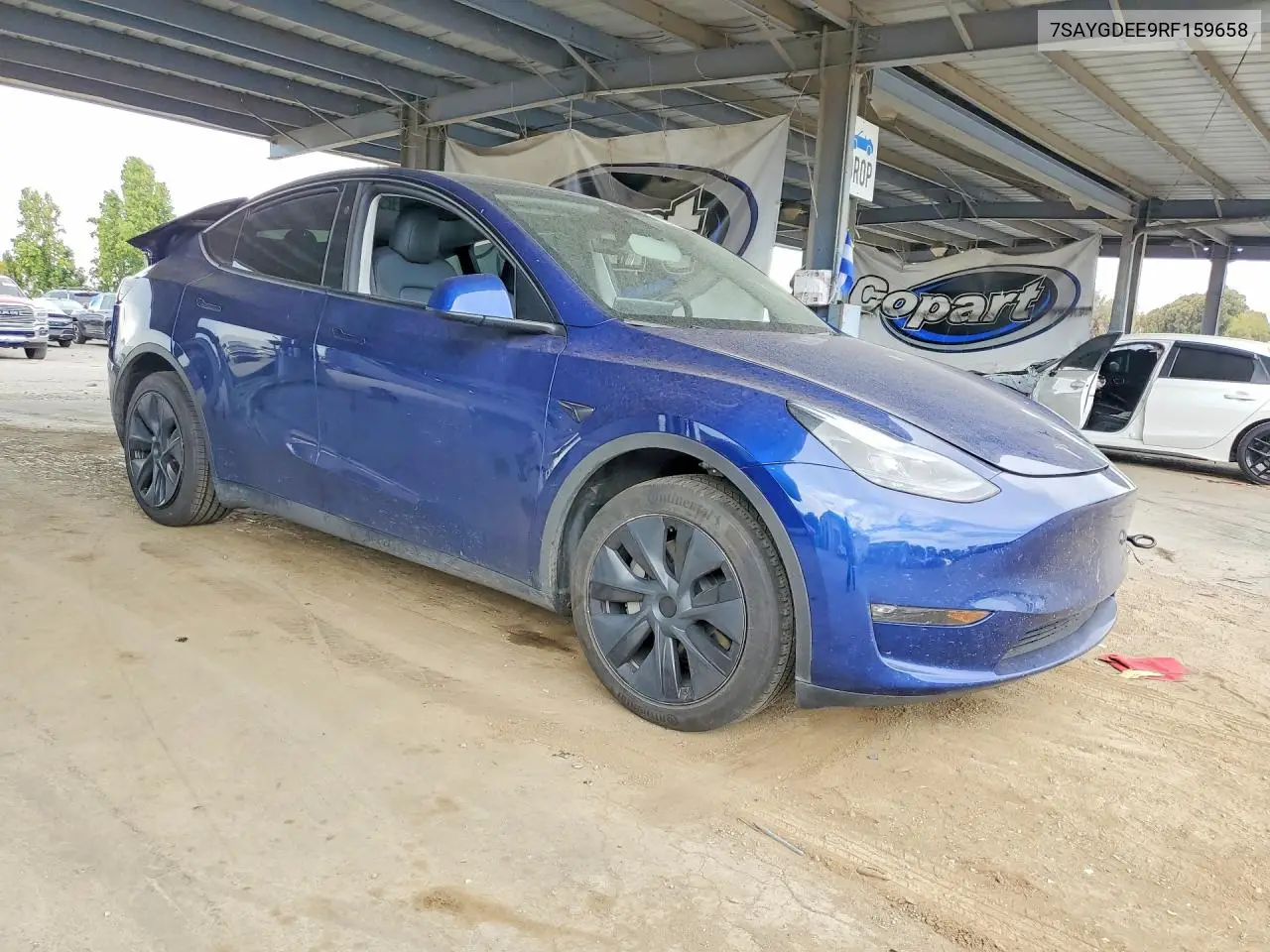 2024 Tesla Model Y VIN: 7SAYGDEE9RF159658 Lot: 61572996