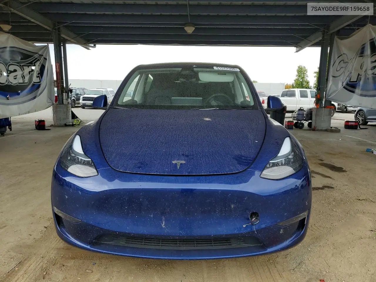 2024 Tesla Model Y VIN: 7SAYGDEE9RF159658 Lot: 61572996