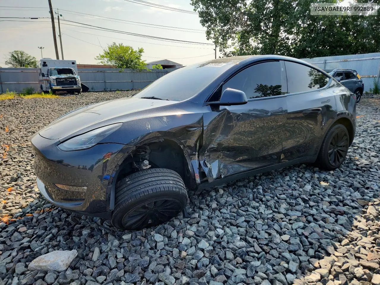 2024 Tesla Model Y VIN: 7SAYGAEE9RF992889 Lot: 61758566
