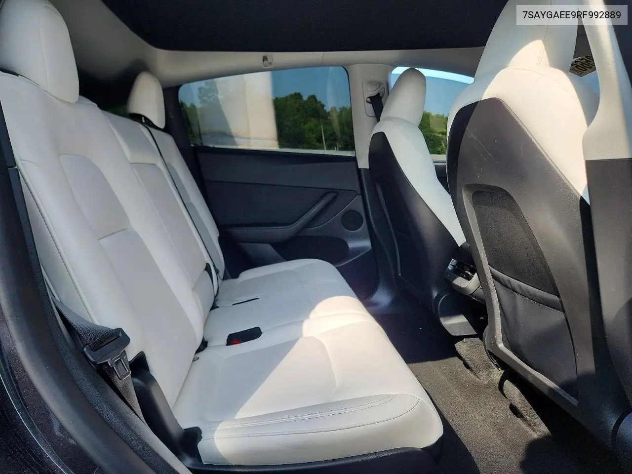 2024 Tesla Model Y VIN: 7SAYGAEE9RF992889 Lot: 61758566