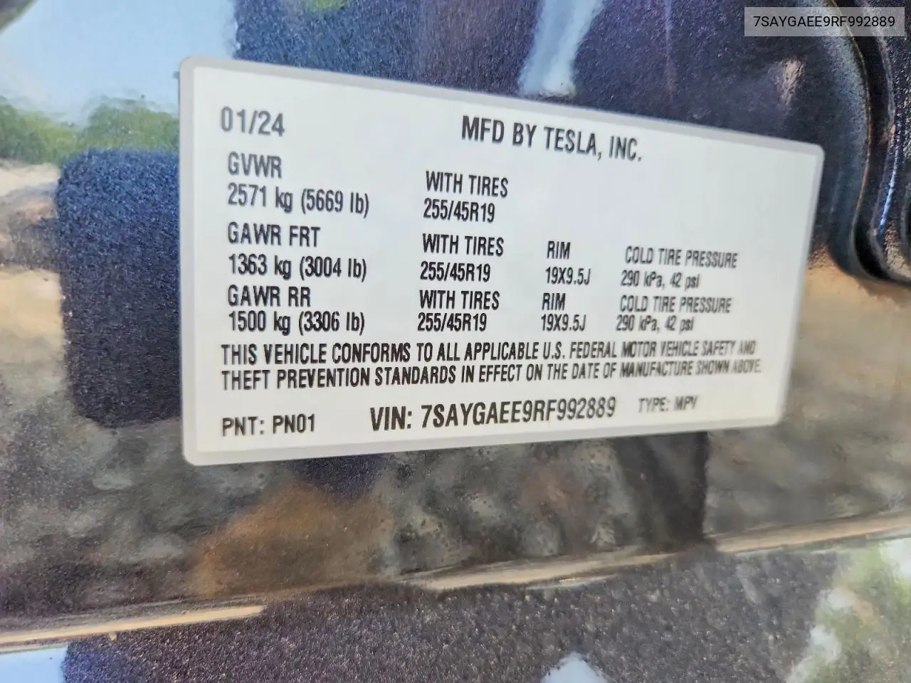 2024 Tesla Model Y VIN: 7SAYGAEE9RF992889 Lot: 61758566