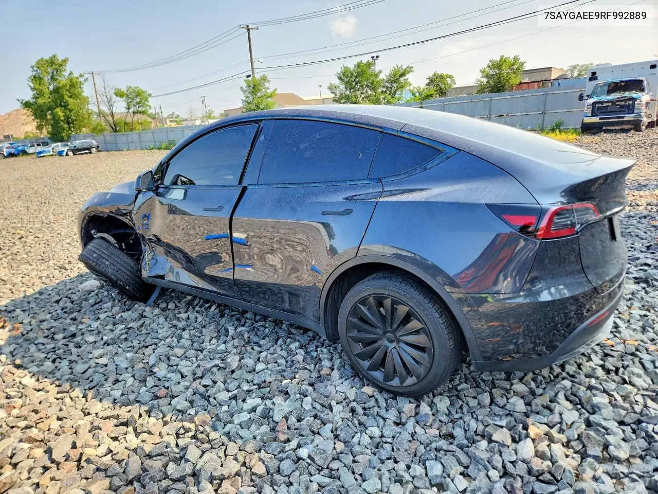 2024 Tesla Model Y VIN: 7SAYGAEE9RF992889 Lot: 61758566