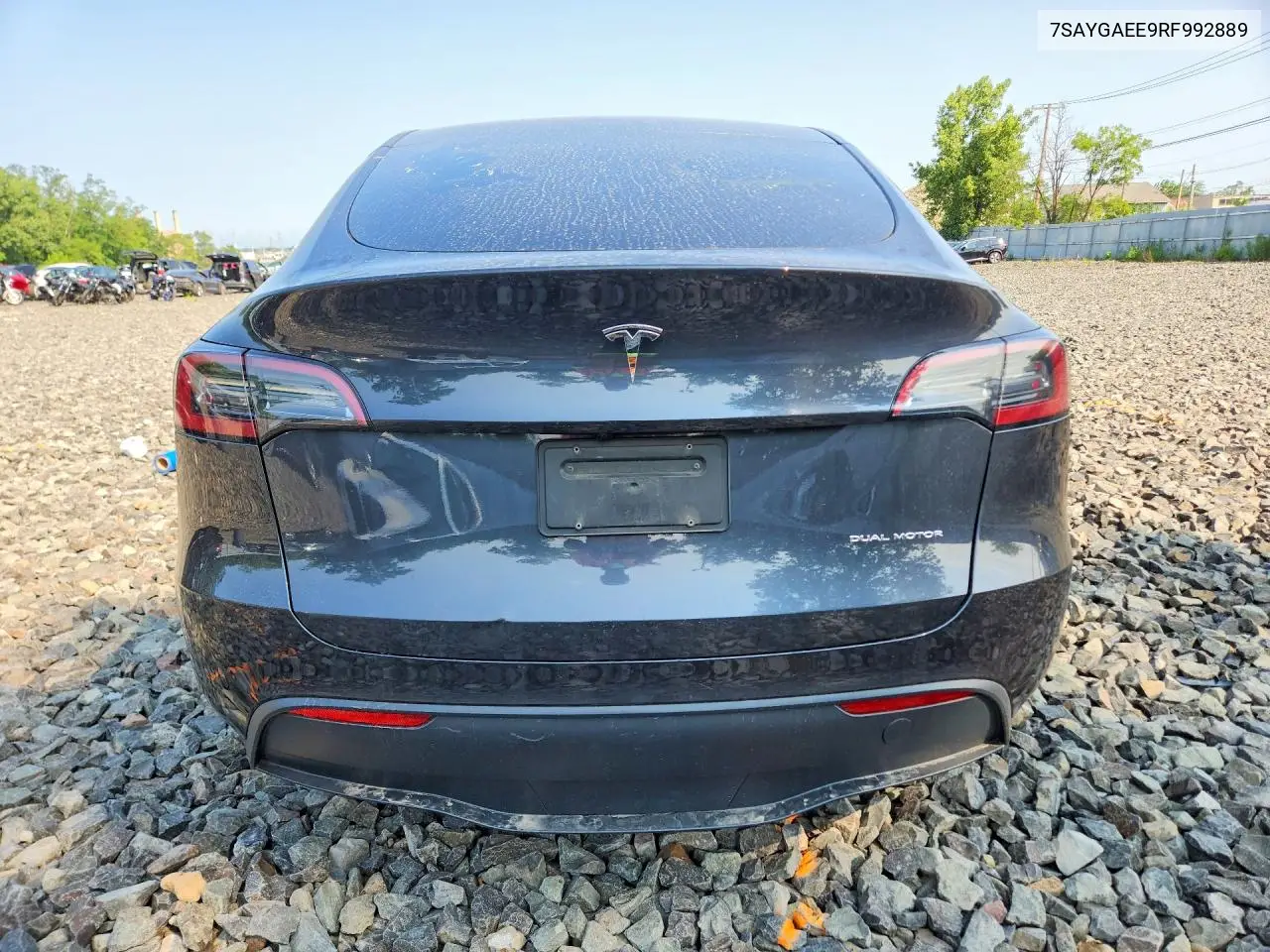 2024 Tesla Model Y VIN: 7SAYGAEE9RF992889 Lot: 61758566