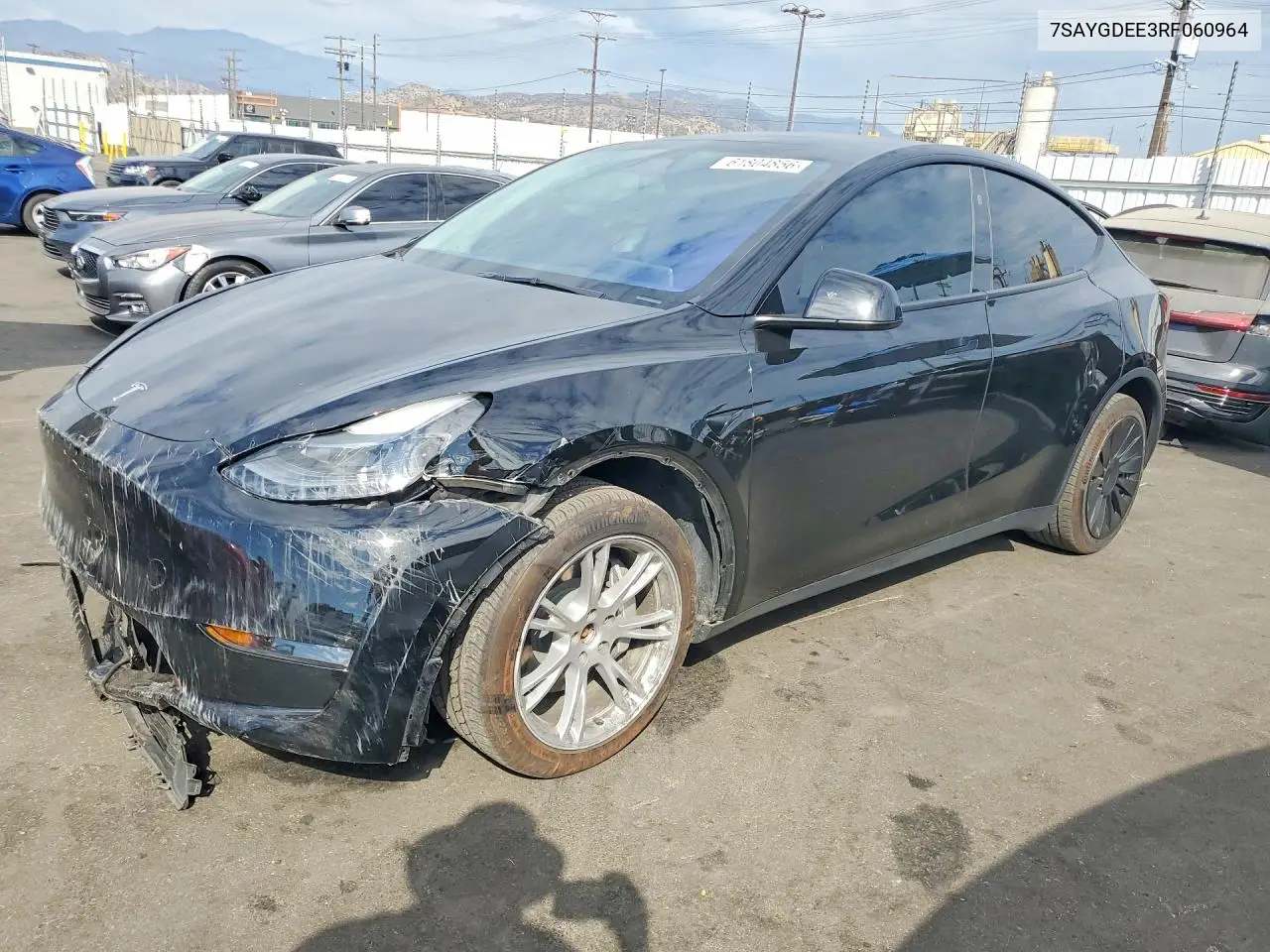 2024 Tesla Model Y VIN: 7SAYGDEE3RF060964 Lot: 61804856