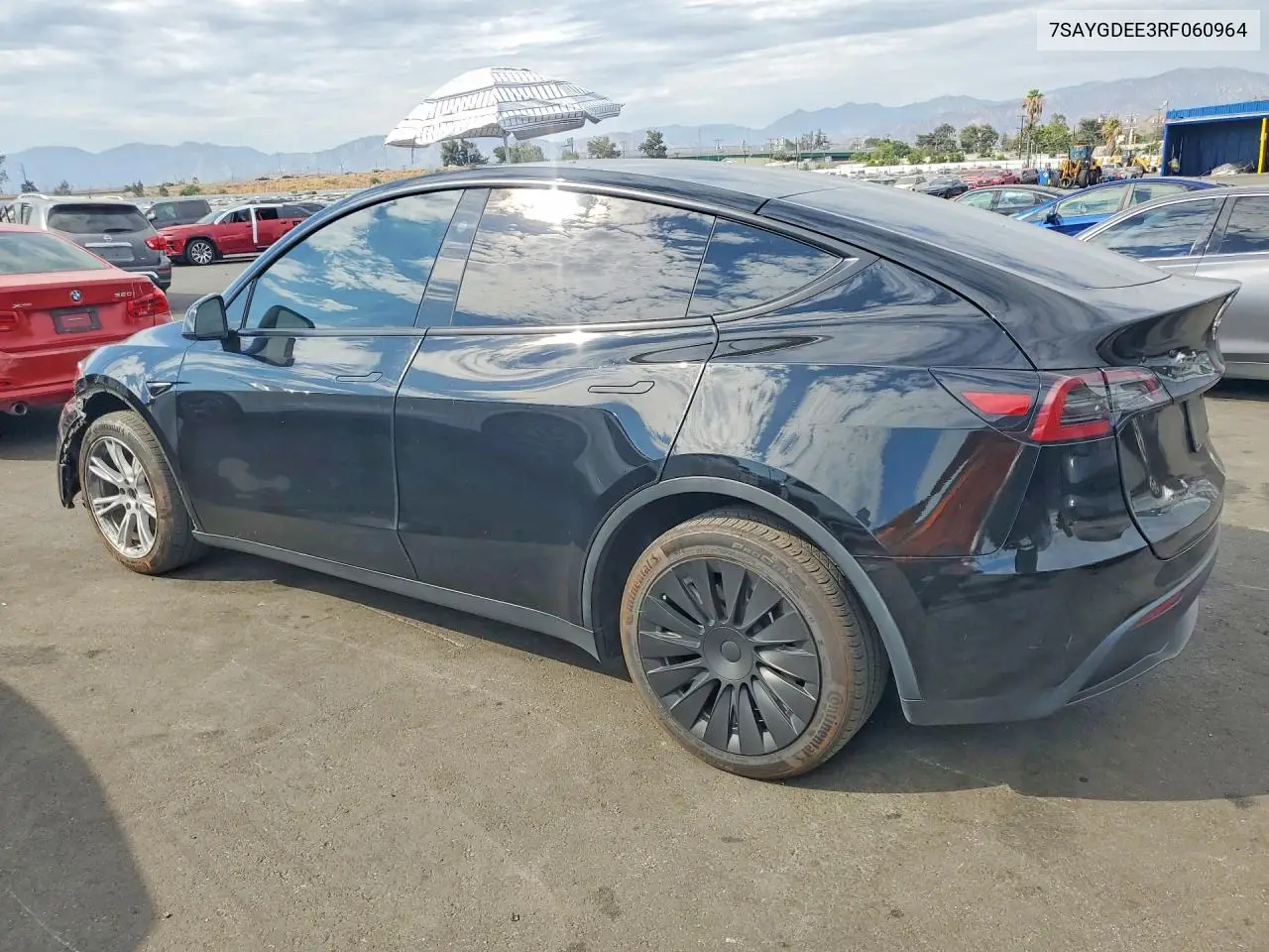 2024 Tesla Model Y VIN: 7SAYGDEE3RF060964 Lot: 61804856