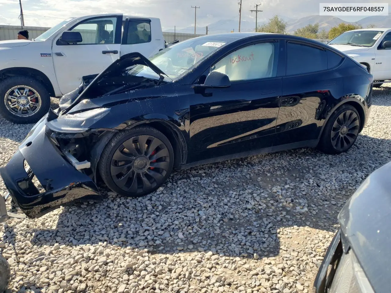 7SAYGDEF6RF048557 2024 Tesla Model Y
