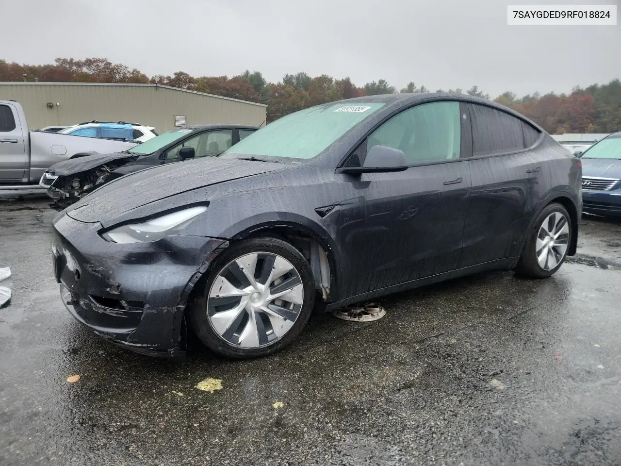 7SAYGDED9RF018824 2024 Tesla Model Y