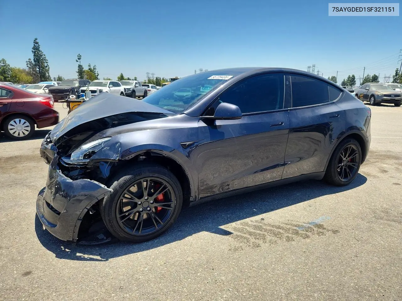 2025 Tesla Model Y VIN: 7SAYGDED1SF321151 Lot: 56739406