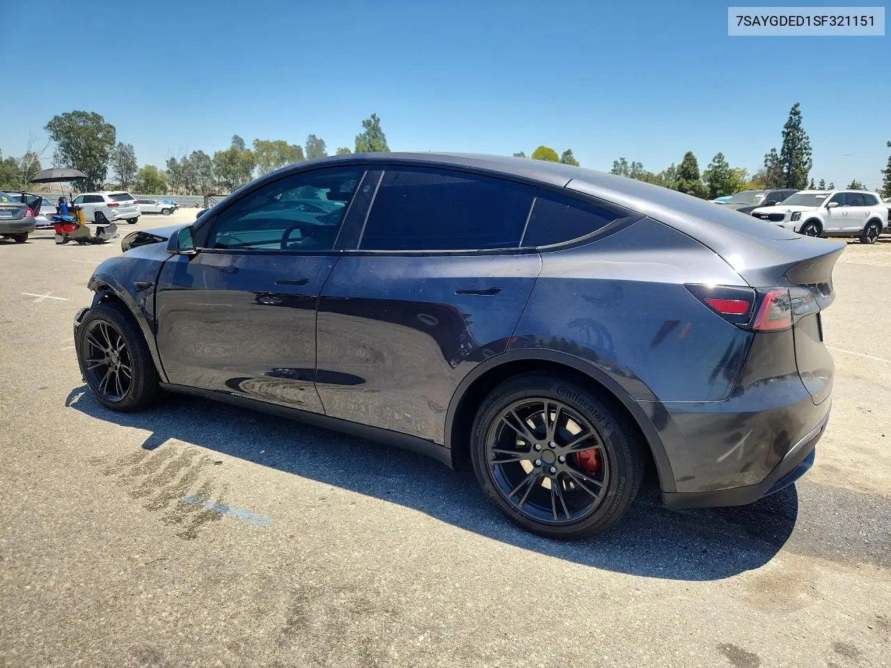 2025 Tesla Model Y VIN: 7SAYGDED1SF321151 Lot: 56739406