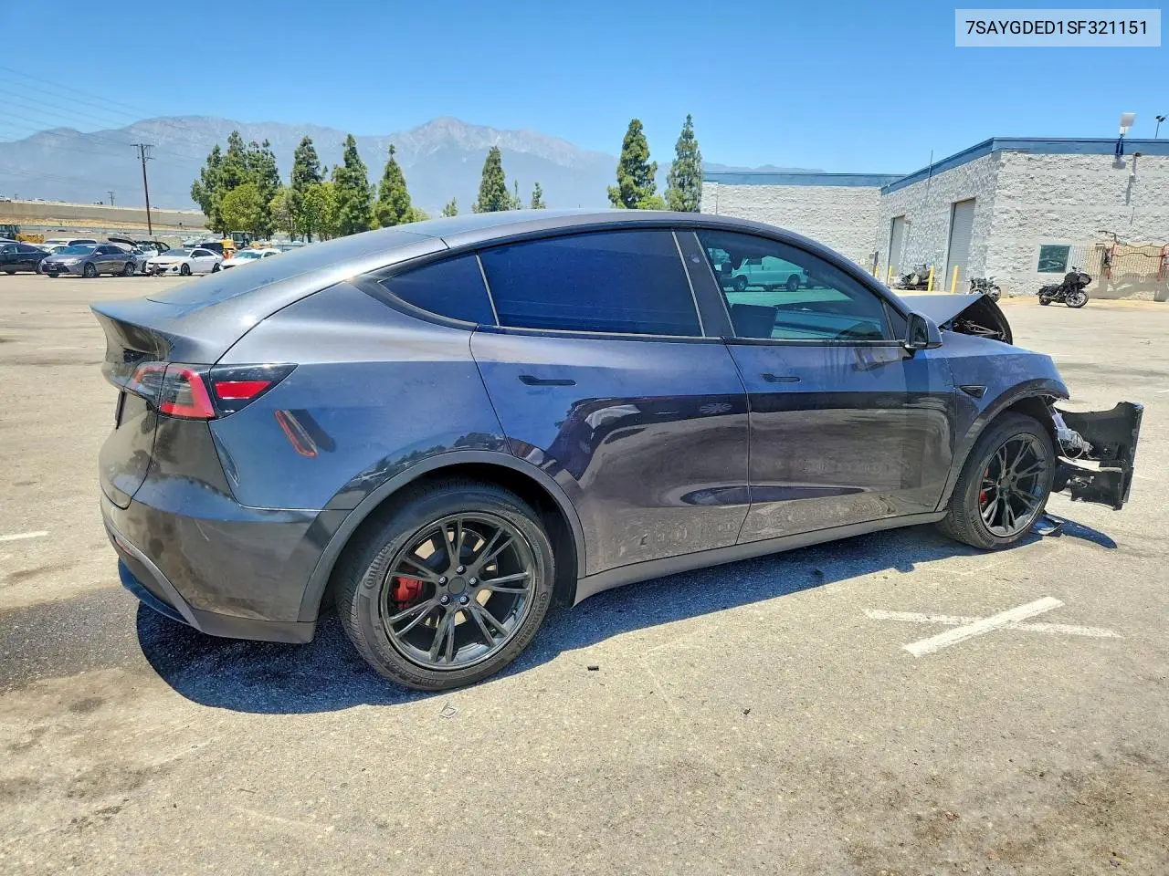 2025 Tesla Model Y VIN: 7SAYGDED1SF321151 Lot: 56739406