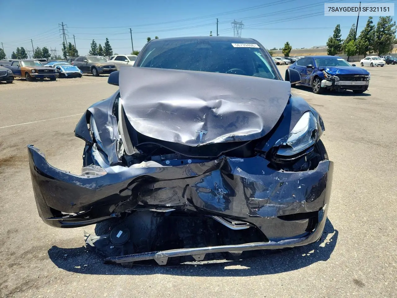 2025 Tesla Model Y VIN: 7SAYGDED1SF321151 Lot: 56739406