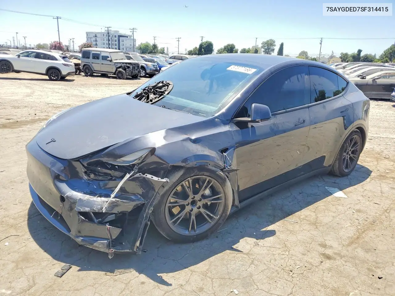 2025 Tesla Model Y VIN: 7SAYGDED7SF314415 Lot: 57377166