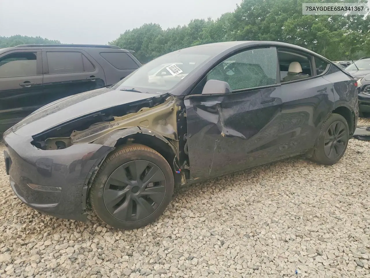 2025 Tesla Model Y VIN: 7SAYGDEE6SA341367 Lot: 60833636
