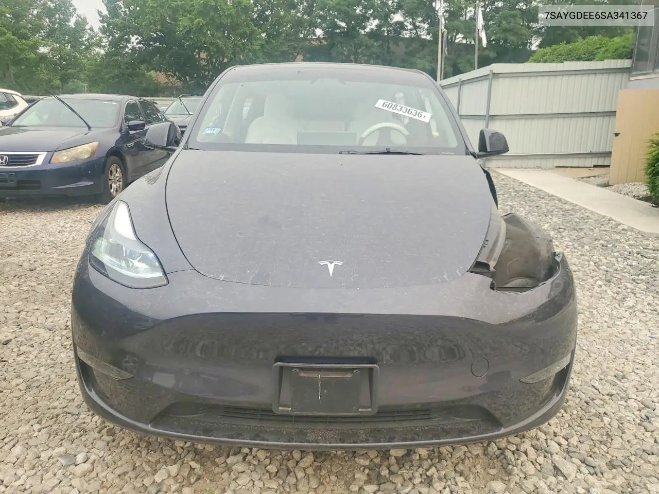 2025 Tesla Model Y VIN: 7SAYGDEE6SA341367 Lot: 60833636
