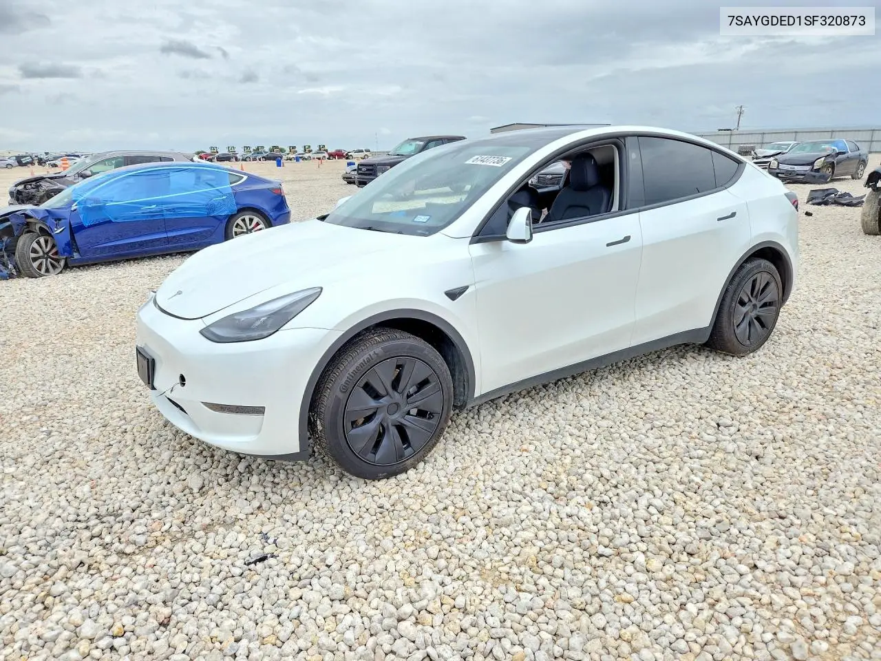 2025 Tesla Model Y VIN: 7SAYGDED1SF320873 Lot: 61437736