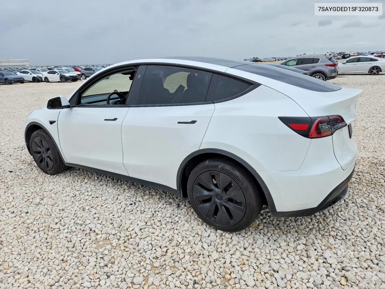 2025 Tesla Model Y VIN: 7SAYGDED1SF320873 Lot: 61437736
