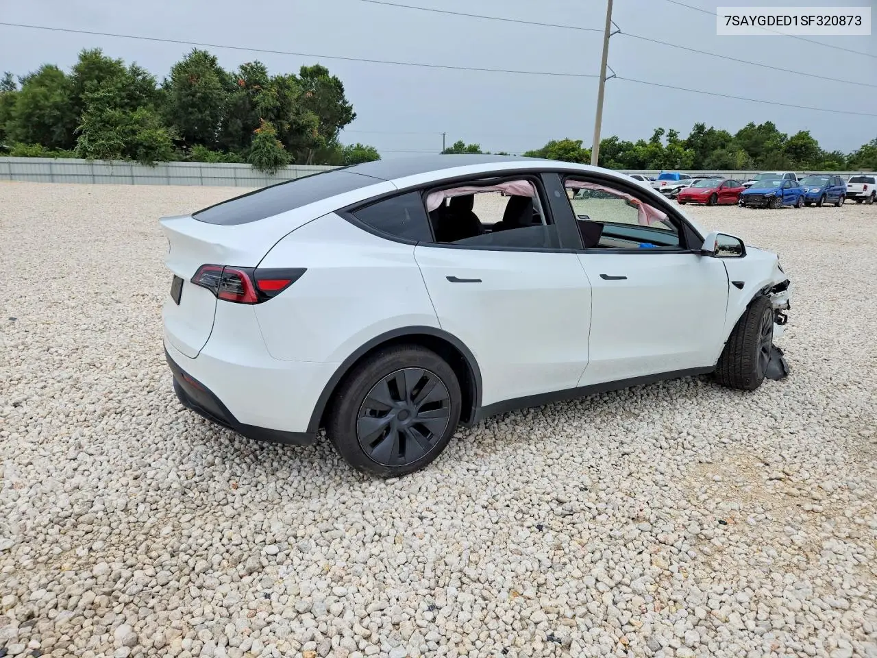 2025 Tesla Model Y VIN: 7SAYGDED1SF320873 Lot: 61437736