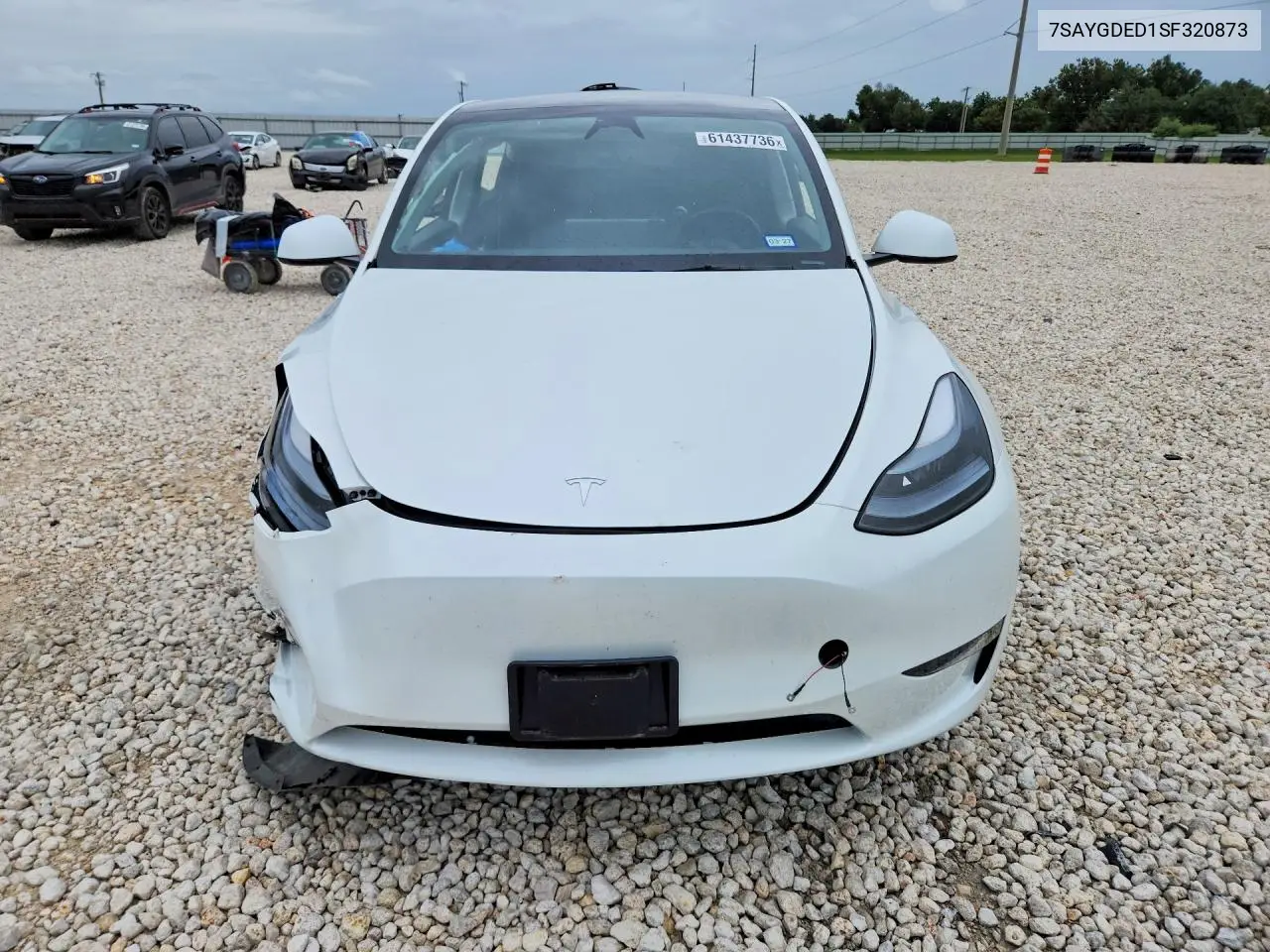 2025 Tesla Model Y VIN: 7SAYGDED1SF320873 Lot: 61437736