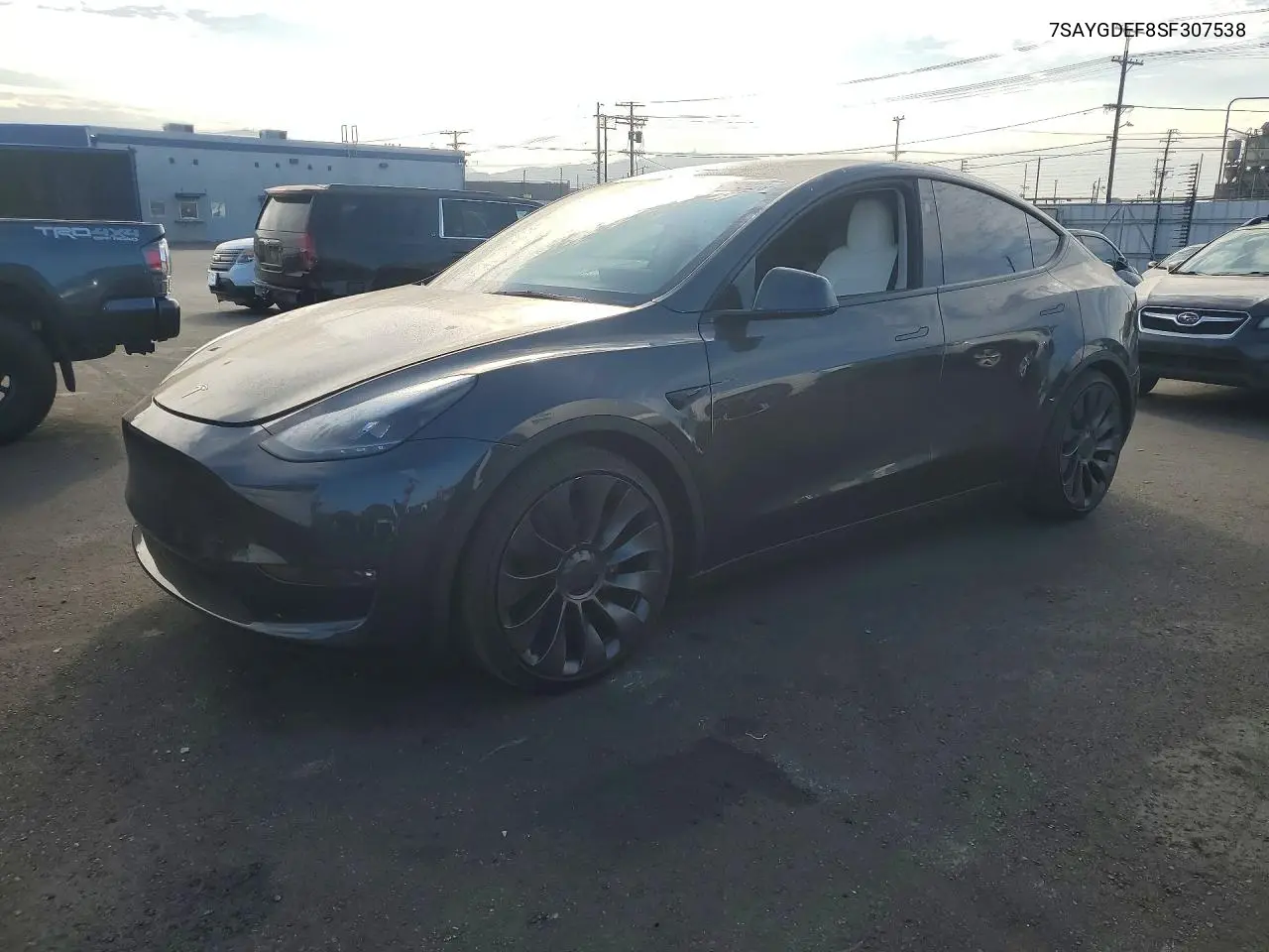 2025 Tesla Model Y VIN: 7SAYGDEF8SF307538 Lot: 61692926