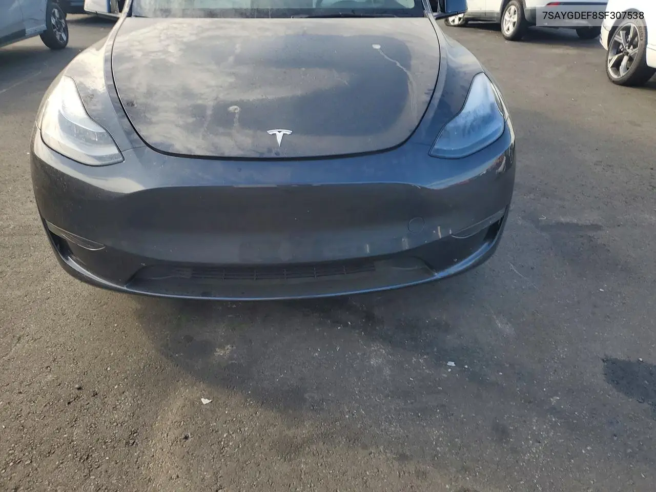 2025 Tesla Model Y VIN: 7SAYGDEF8SF307538 Lot: 61692926