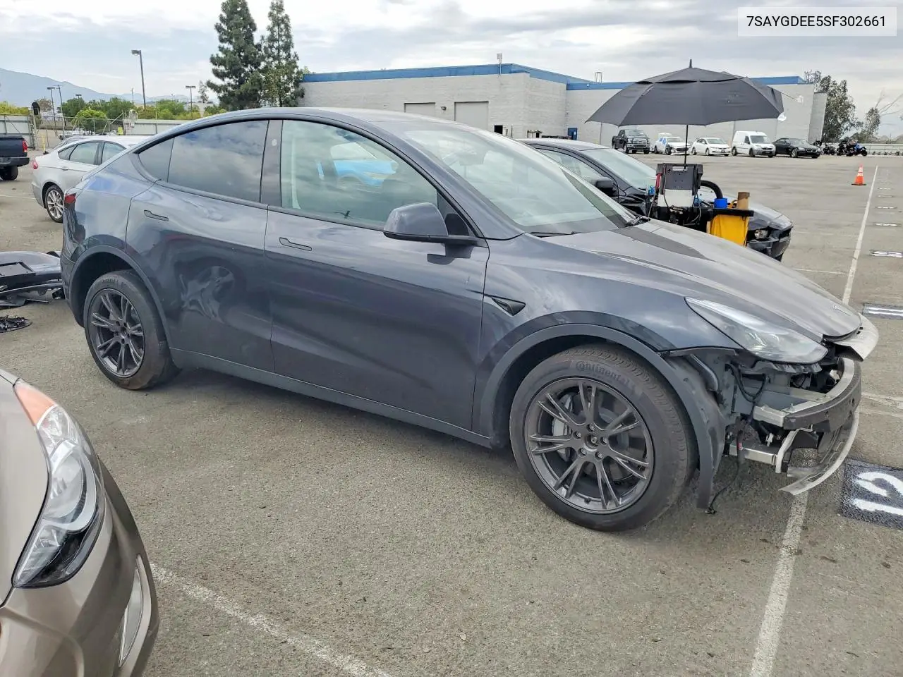 2025 Tesla Model Y VIN: 7SAYGDEE5SF302661 Lot: 61700496