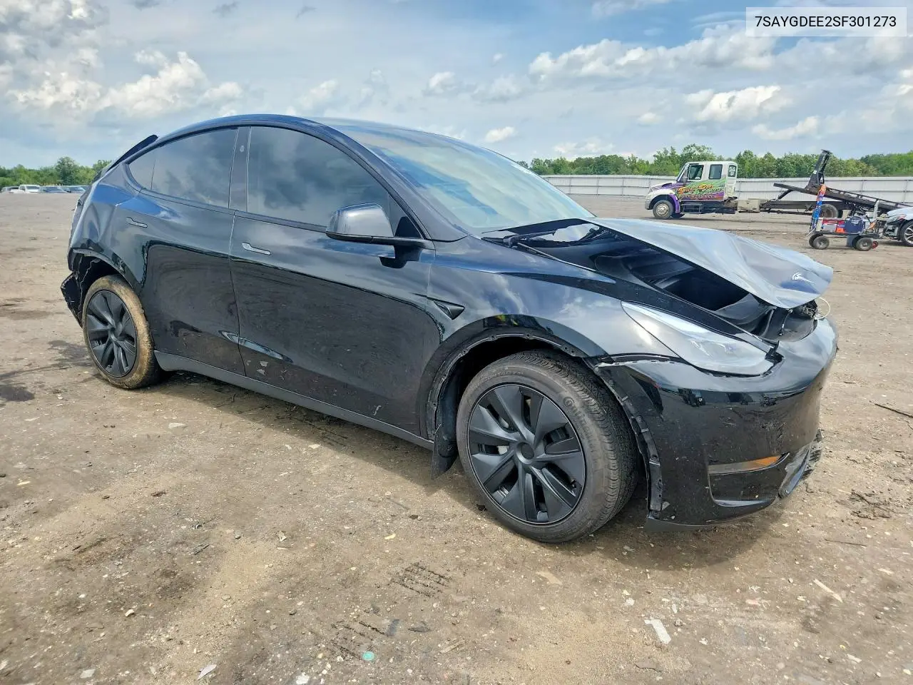 2025 Tesla Model Y VIN: 7SAYGDEE2SF301273 Lot: 61939966