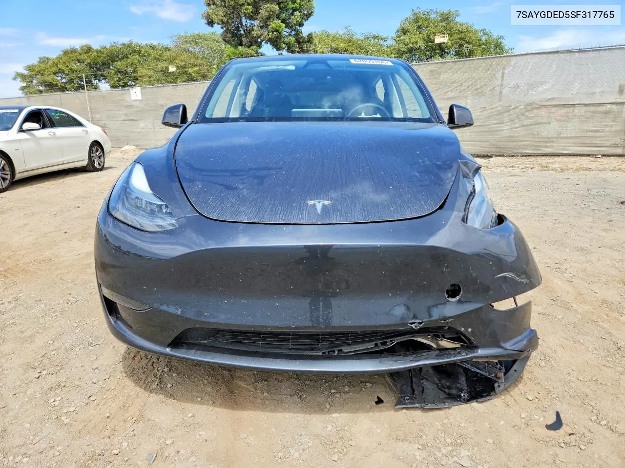 2025 Tesla Model Y VIN: 7SAYGDED5SF317765 Lot: 62055166