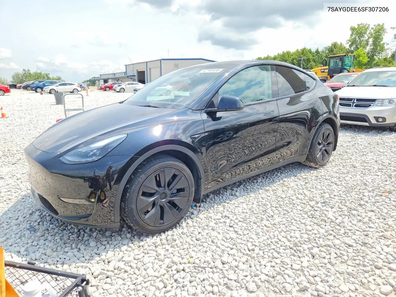 2025 Tesla Model Y VIN: 7SAYGDEE6SF307206 Lot: 62166436