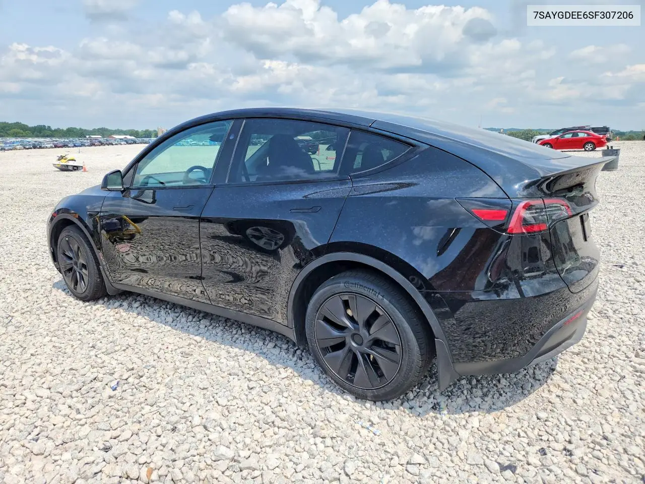 2025 Tesla Model Y VIN: 7SAYGDEE6SF307206 Lot: 62166436