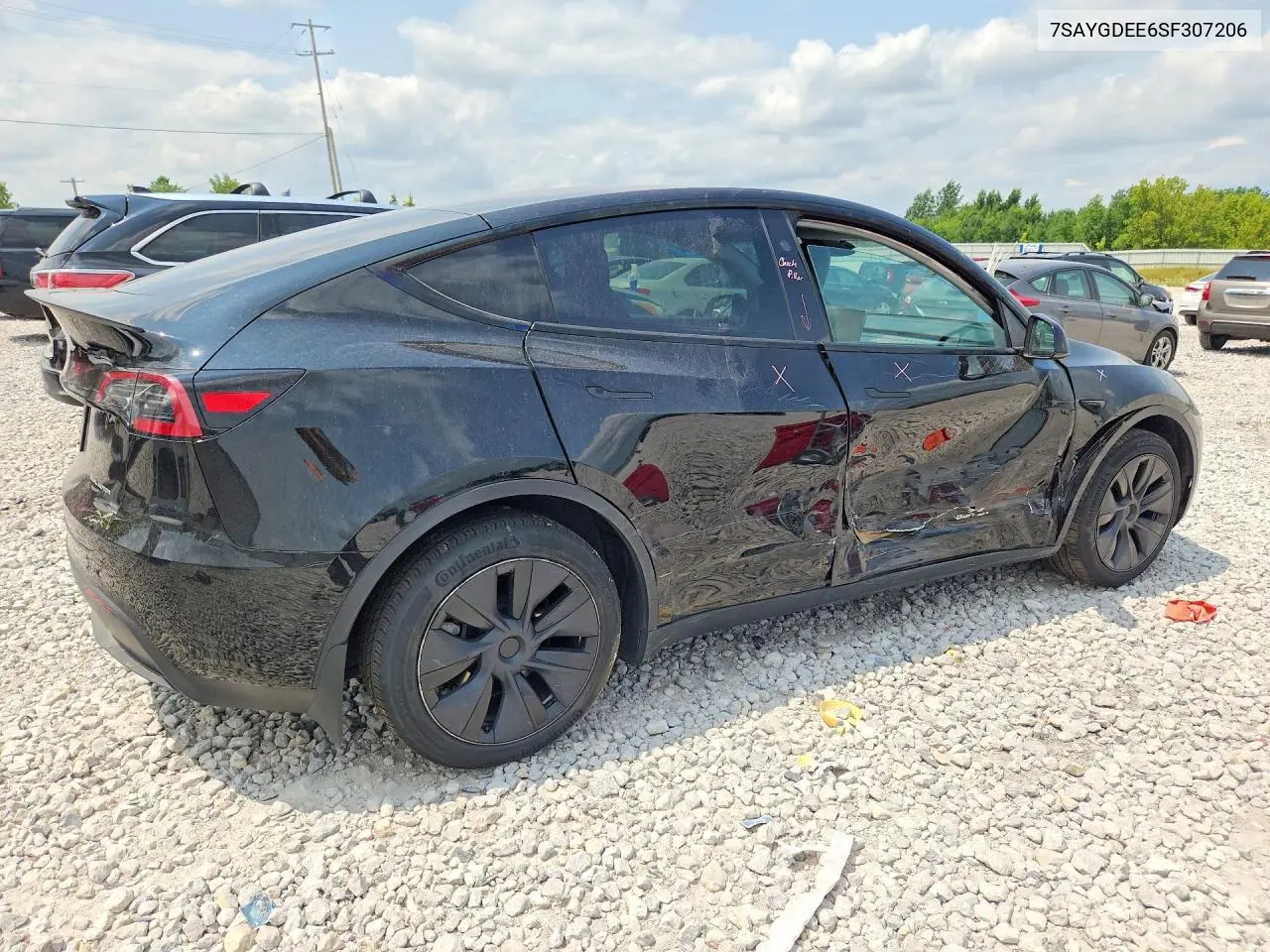 2025 Tesla Model Y VIN: 7SAYGDEE6SF307206 Lot: 62166436