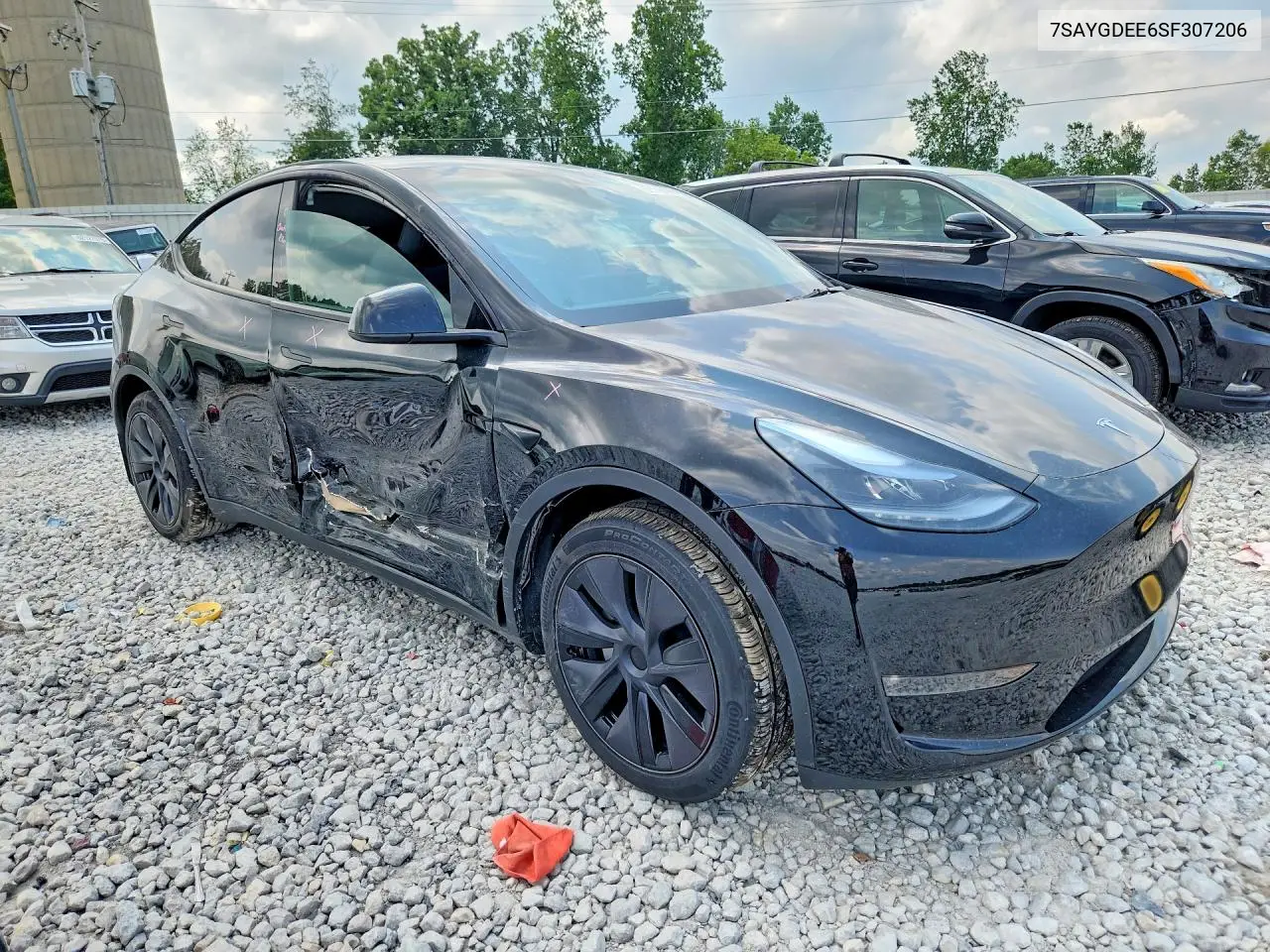 2025 Tesla Model Y VIN: 7SAYGDEE6SF307206 Lot: 62166436
