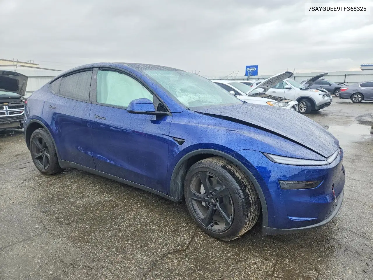 Model Y