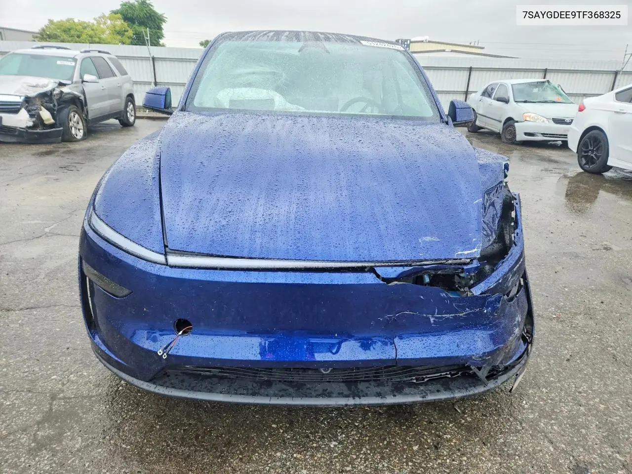 Model Y