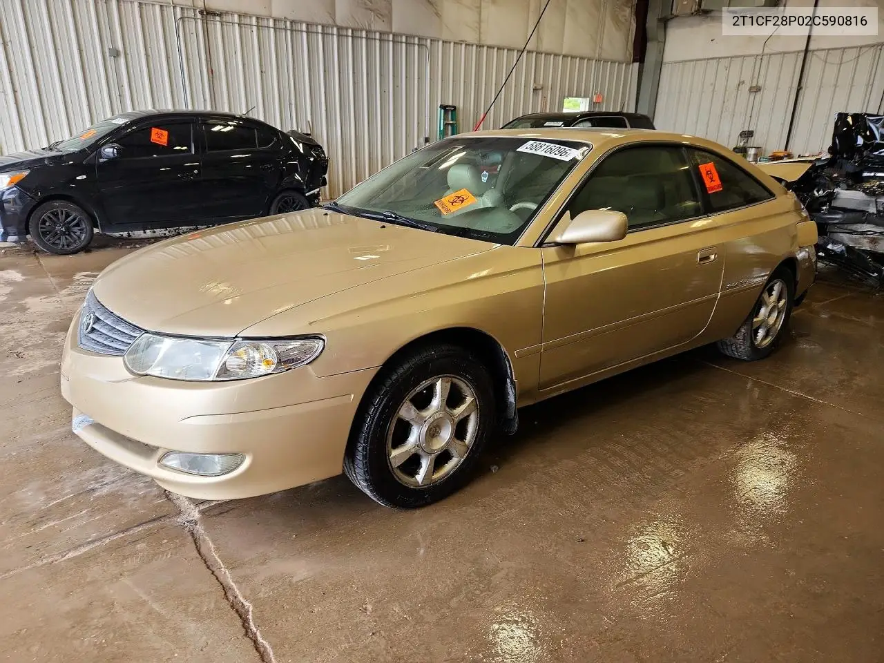 2002 Toyota Camry Solara Sle V6 VIN: 2T1CF28P02C590816 Lot: 58816096