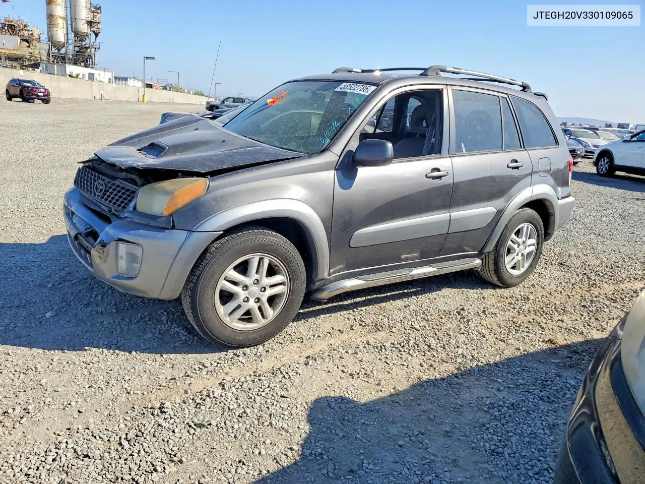 2003 Toyota Rav4 Base VIN: JTEGH20V330109065 Lot: 58522786