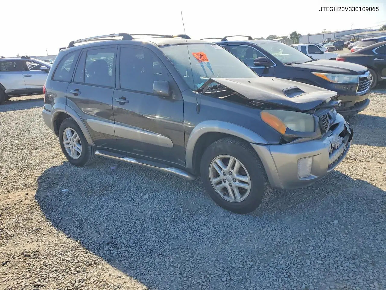 2003 Toyota Rav4 Base VIN: JTEGH20V330109065 Lot: 58522786