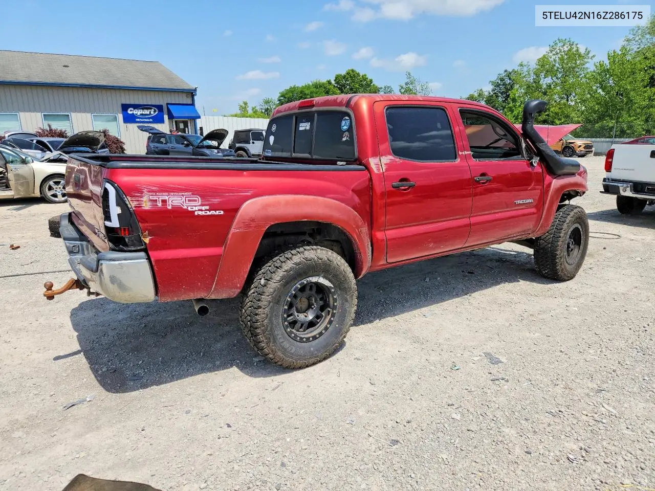 2006 Toyota Tacoma Double Cab VIN: 5TELU42N16Z286175 Lot: 59189926