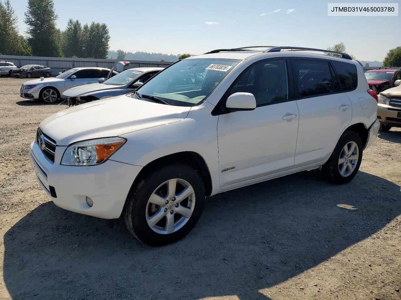 2006 Toyota Rav4 Limited VIN: JTMBD31V465003780 Lot: 60703826