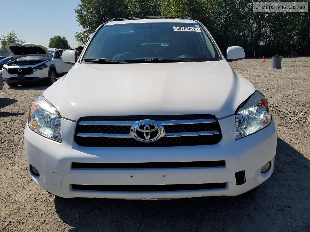 2006 Toyota Rav4 Limited VIN: JTMBD31V465003780 Lot: 60703826