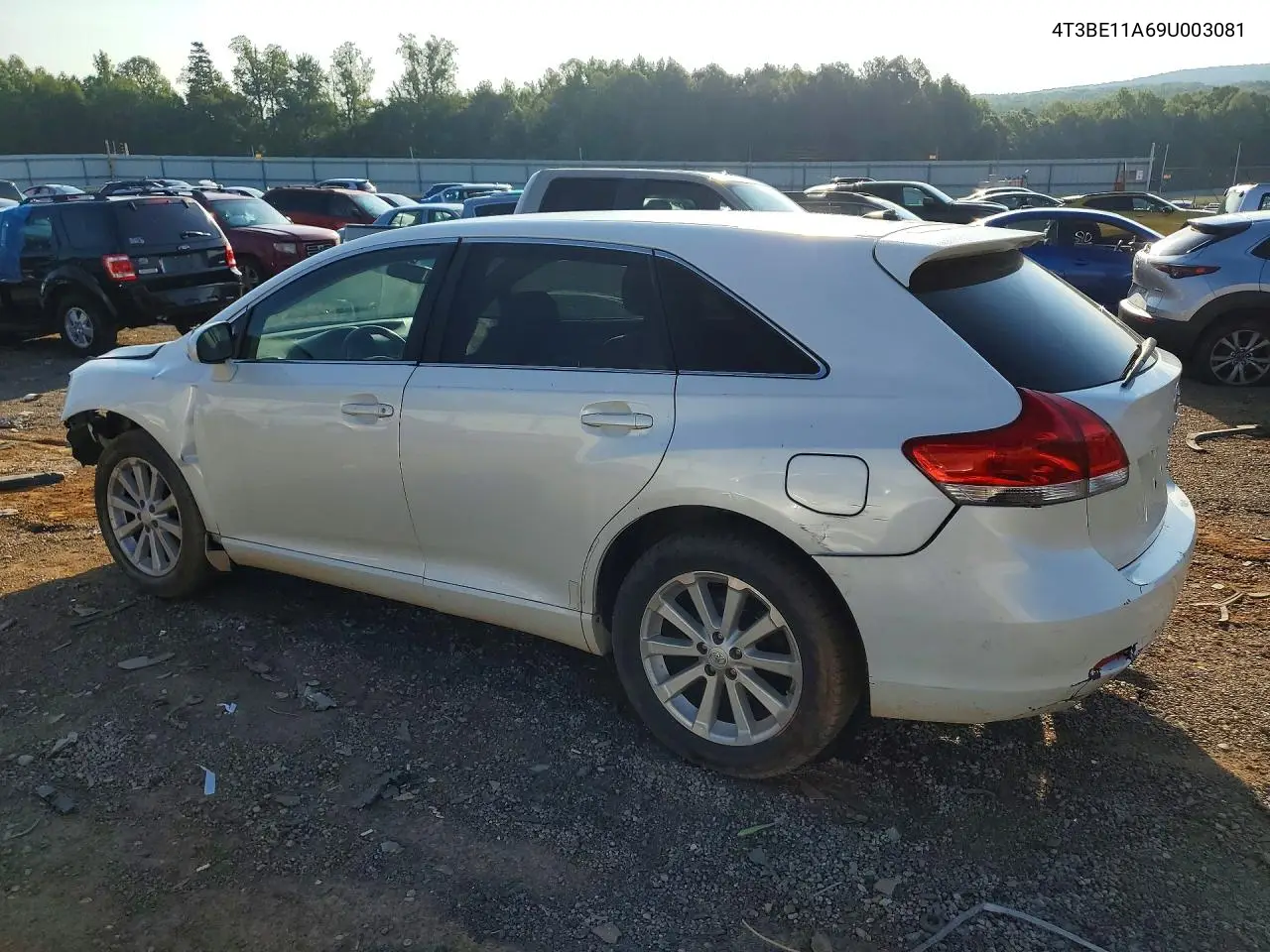 2009 Toyota Venza Awd 4Cyl VIN: 4T3BE11A69U003081 Lot: 56660656