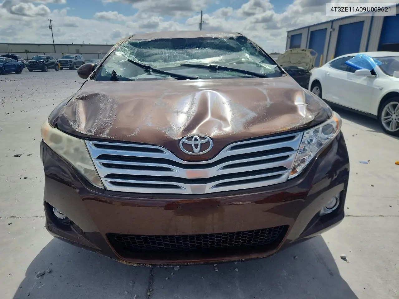 2009 Toyota Venza Fwd 4Cyl VIN: 4T3ZE11A09U009621 Lot: 57246196