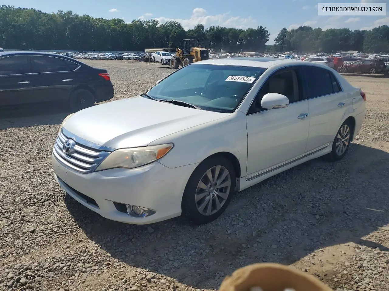 2011 Toyota Avalon VIN: 4T1BK3DB9BU371939 Lot: 56614826