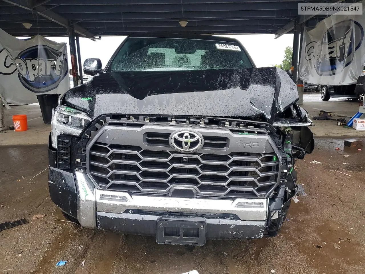 2022 Toyota Tundra 1794 Edition VIN: 5TFMA5DB9NX021547 Lot: 54824266