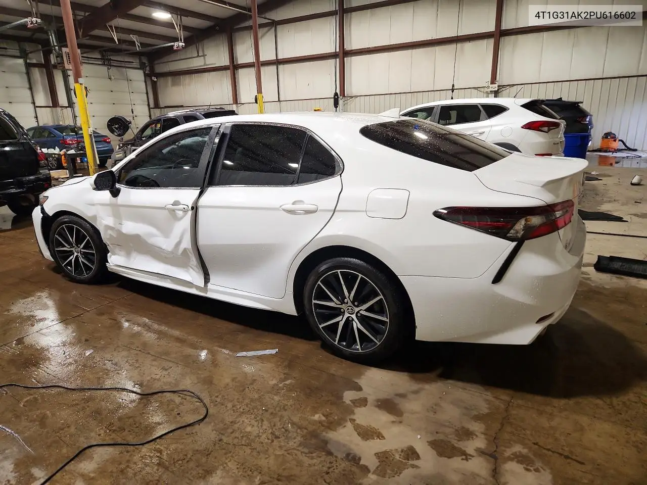 2023 Toyota Camry Hybrid Se VIN: 4T1G31AK2PU616602 Lot: 60368516