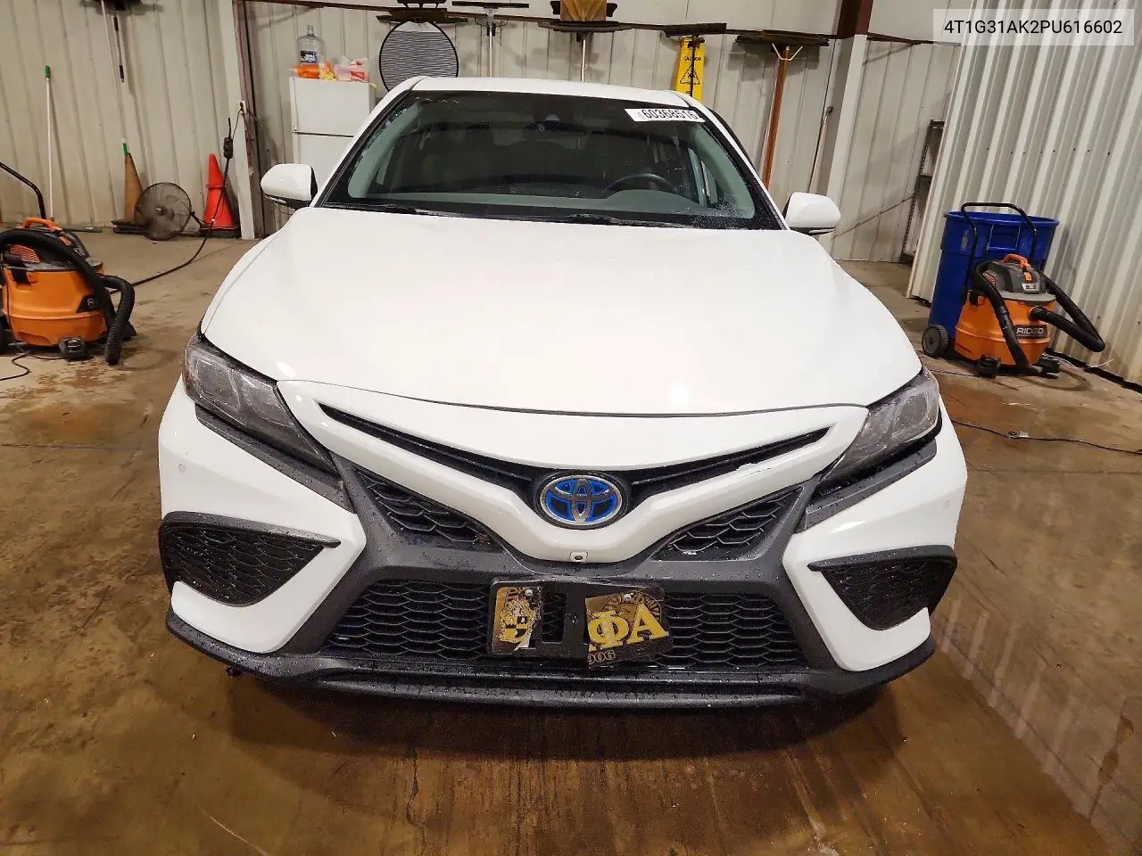 2023 Toyota Camry Hybrid Se VIN: 4T1G31AK2PU616602 Lot: 60368516