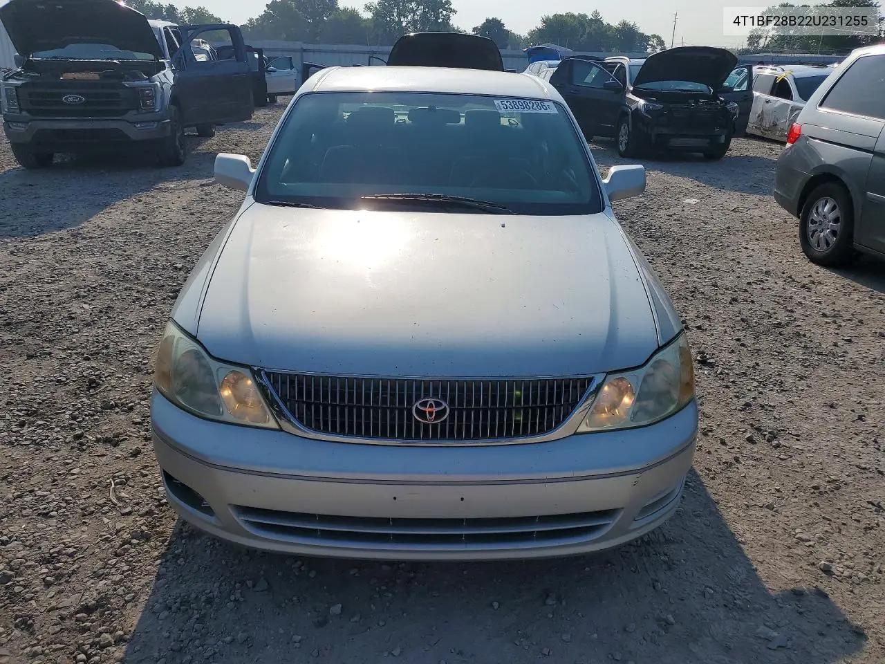2002 Toyota Avalon Xl VIN: 4T1BF28B22U231255 Lot: 53898286