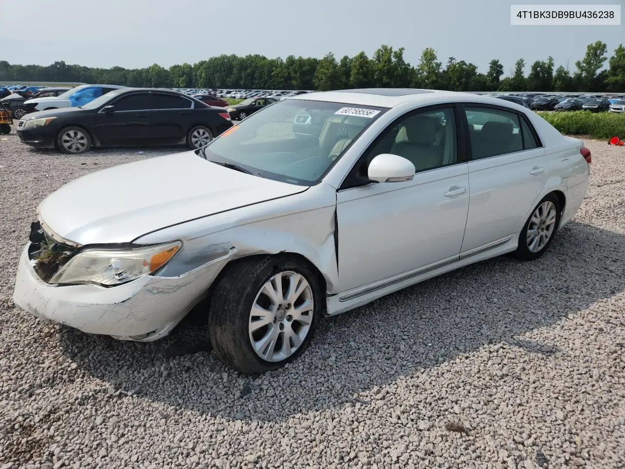 2011 Toyota Avalon Base VIN: 4T1BK3DB9BU436238 Lot: 60758556
