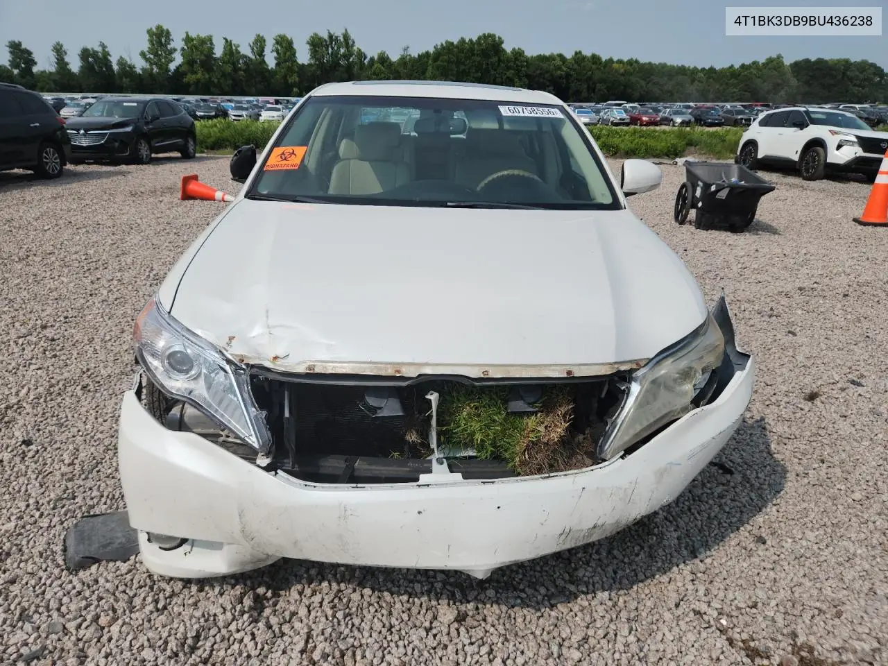 2011 Toyota Avalon Base VIN: 4T1BK3DB9BU436238 Lot: 60758556